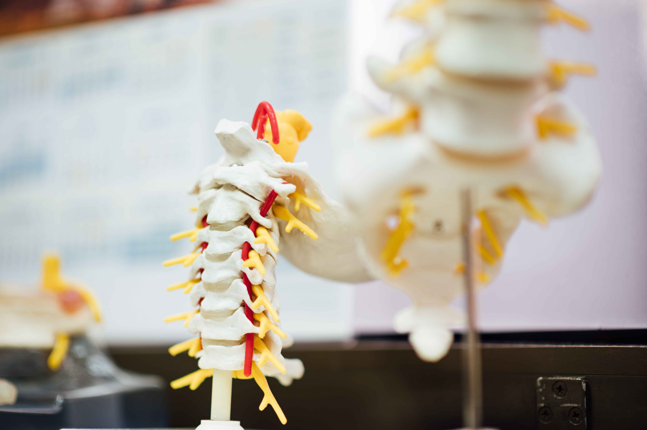 脊醫提供脊骨神經科治療