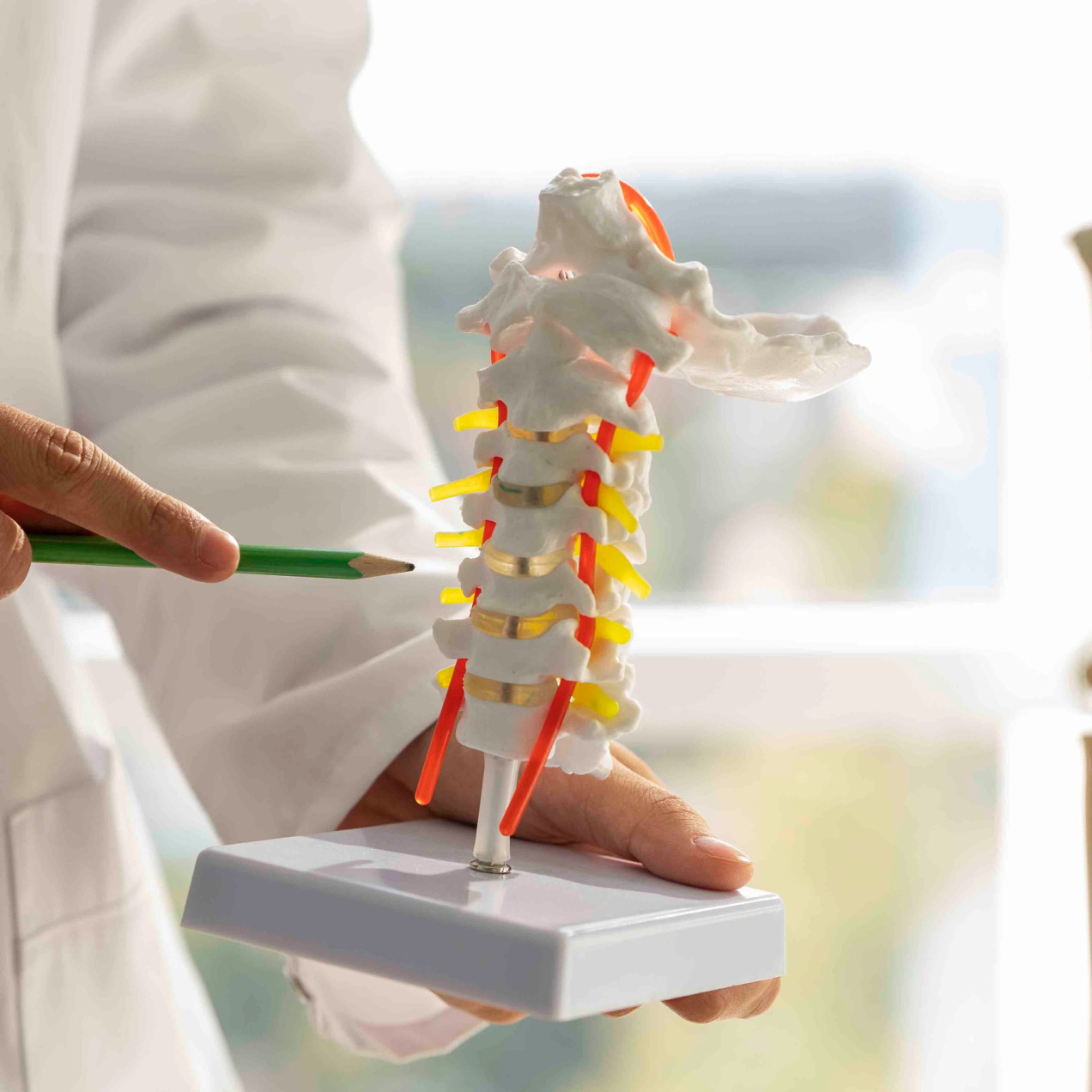 脊骨錯位指脊椎骨骨節不在正常的位置上